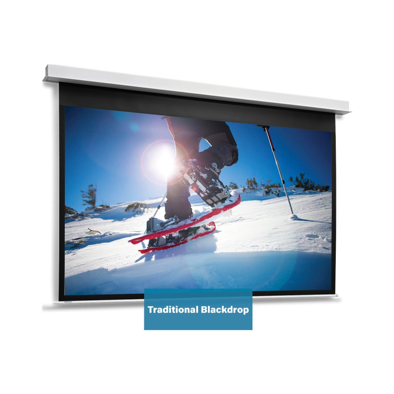 Projecta Screen Surface Assembly Descend | APLIUM