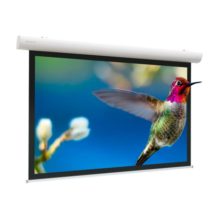 Projecta Elpro Concept RF 219x390 Matte | APLIUM