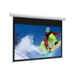 Projecta Elpro Concept RF 197x350 Matte | APLIUM