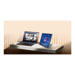 ASUS ZenScreen OLED MQ16AHE - Monitor OLED - 16" (15.6" visi | APLIUM