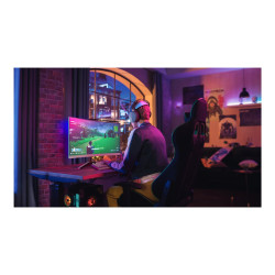 Mmd - Philips 27M2C5501/00 - 27 Va Curv QHD 2560X1440 180HZ | APLIUM