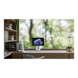 Elevated Stand for Surface