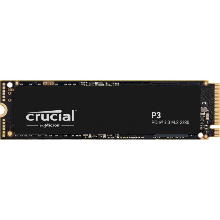P3 M.2 1000 GB PCI Express