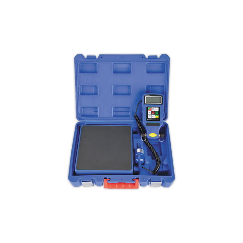 Bascula digital Programable GTA-125
