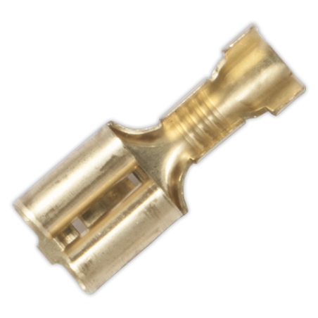 Terminal faston 6,3 mm hembra