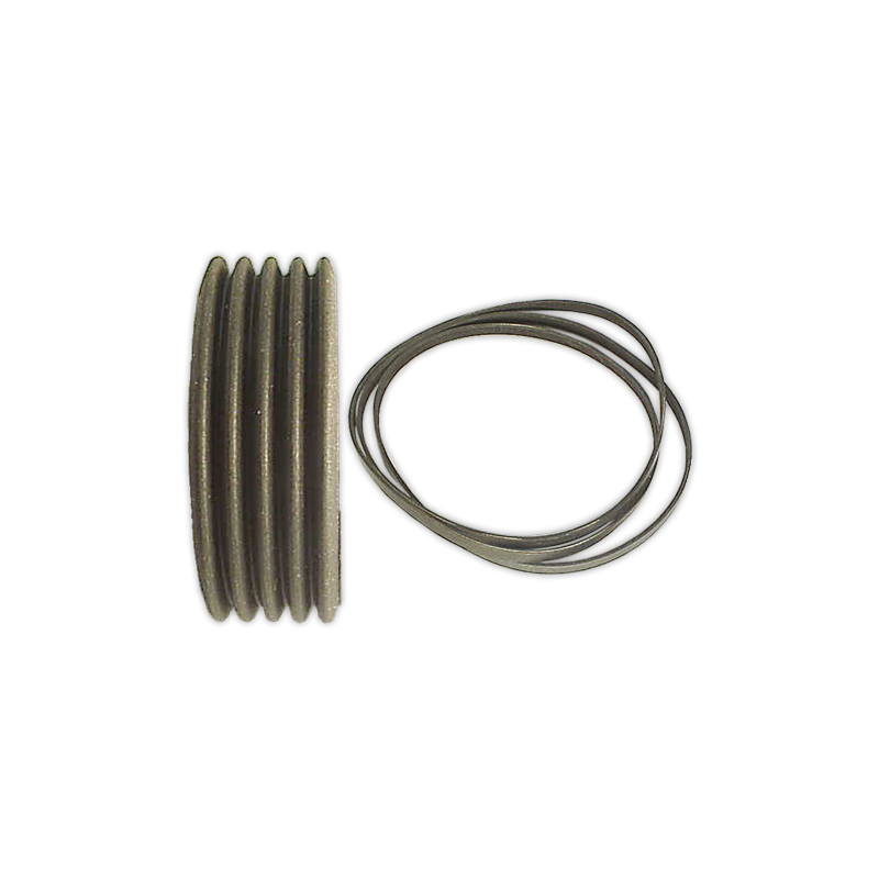 Correa POLI V 1246 J-5 Elastica