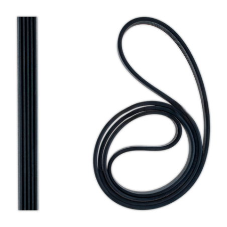 Correa POLI V 1250 J-5 Elastica