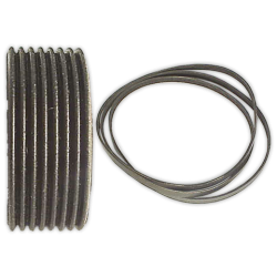 Correa POLI V 1181 H-8 Elastica