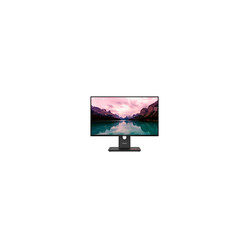 ThinkVision T24-40 23.8" Monitor EU