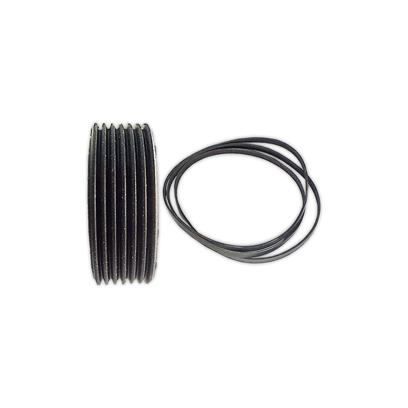 Correa POLI V 1228 H-7 Elastica
