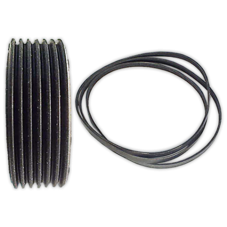 Correa POLI V 1228 H-7 Elastica