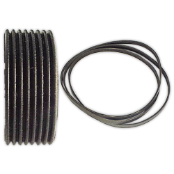 Correa POLI V 1287 H-8 Elastica