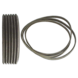 Correa POLI V 1991 H-6 Elastica
