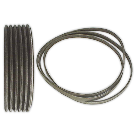 Correa POLI V 1991 H-6 Elastica