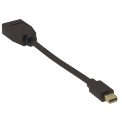 4K Mini Displayport - DP M-F