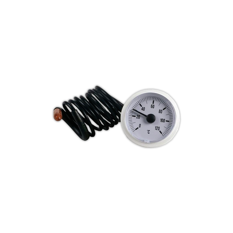 Termometro ESTANDAR Ø 52 mm