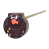 Termostato varilla TRM 0/105° 45 cm