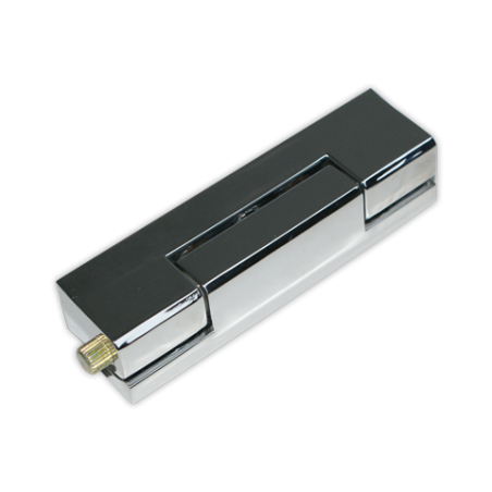 Bisagra camara G-300