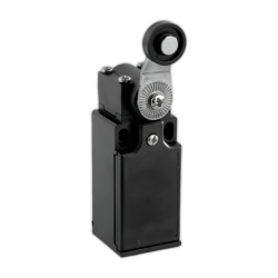 Interruptor puerta de camara PS21L