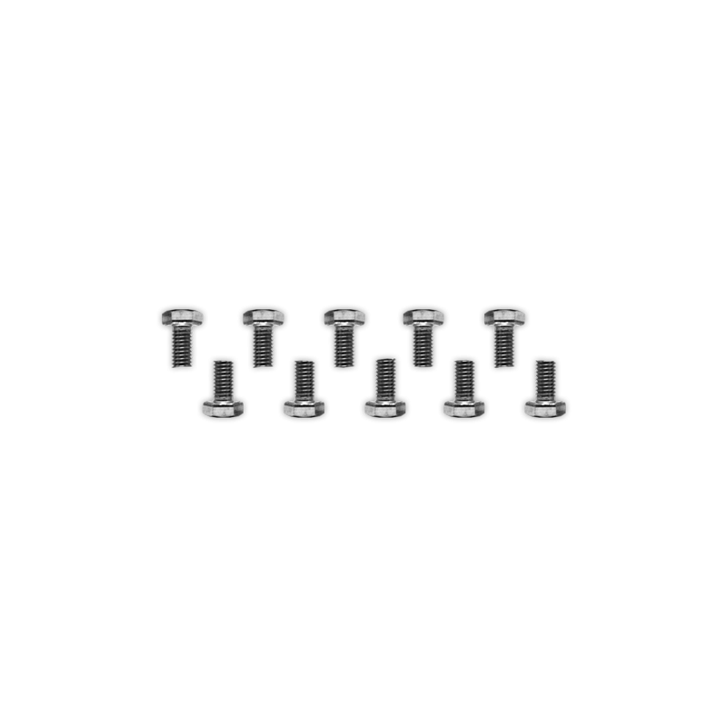 Tornillo hexagonal inox M6x100 10 uds.