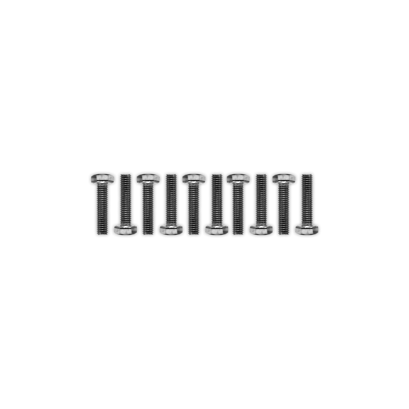 Tornillo hexagonal inox M6x250 10 uds.