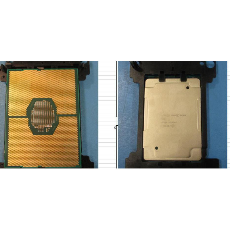 12-Core Intel Xeon Gold 6146