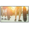 MultiSync P754Q PG 75inch