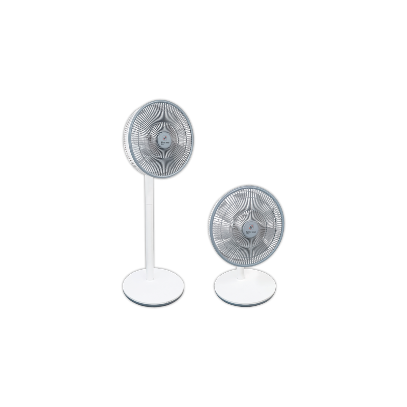 Ventilador pie S&P ARTIC WIND 300 DC