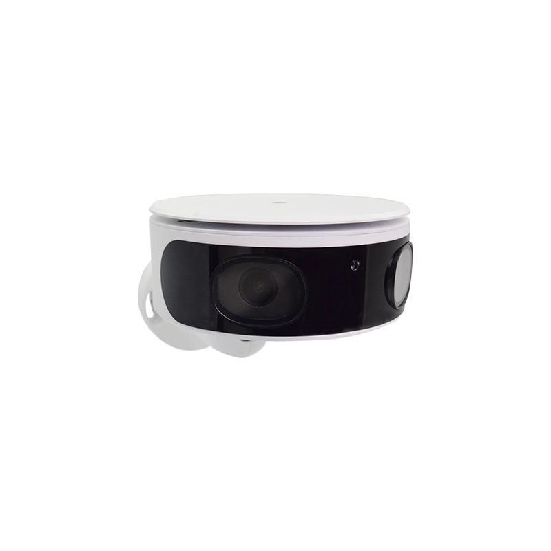 8MP Multi-Imager Panoramic