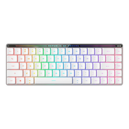 Rog Falchion Rx Low Profile