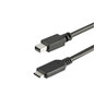 Cable USB C to Mini DisplayPort 1m/3ft