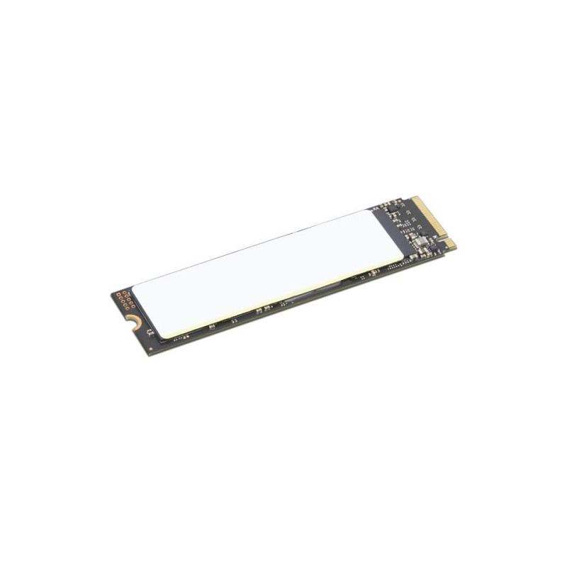 TP 512GB SSD PERFORM PCIE G4