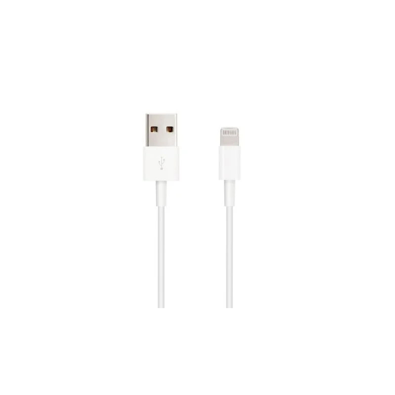 Cable USB 2.0 Lightning Nanocable 10.110.0401/ USB Macho - Lightning M