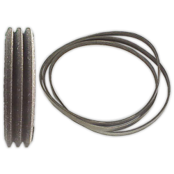 Correa POLI V 1814 J-3 Elastica