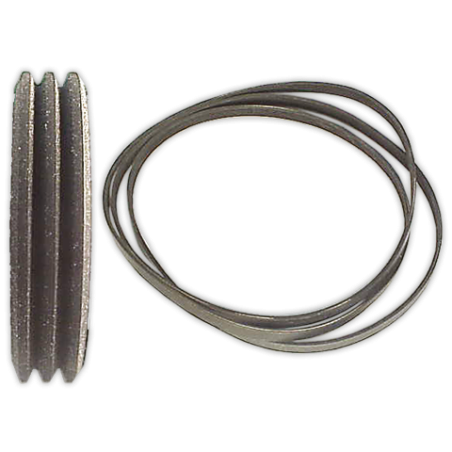 Correa POLI V 1814 J-3 Elastica