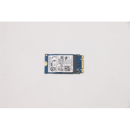 128GB M.2 PCIe 2242
