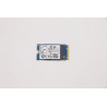 128GB M.2 PCIe 2242