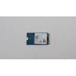 256GB M.2 PCIe NVMe SSD,