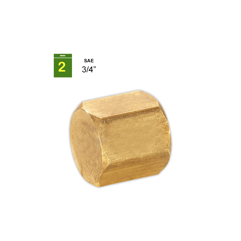 Tapon hembra SAE 3/4¨ | APLIUM