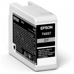 epson-singlepack-gray-t46s7-ultrachrome-pro-10-1.jpg