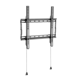Basic Medium Wall Mount (100