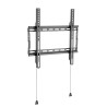 Basic Medium Wall Mount (100