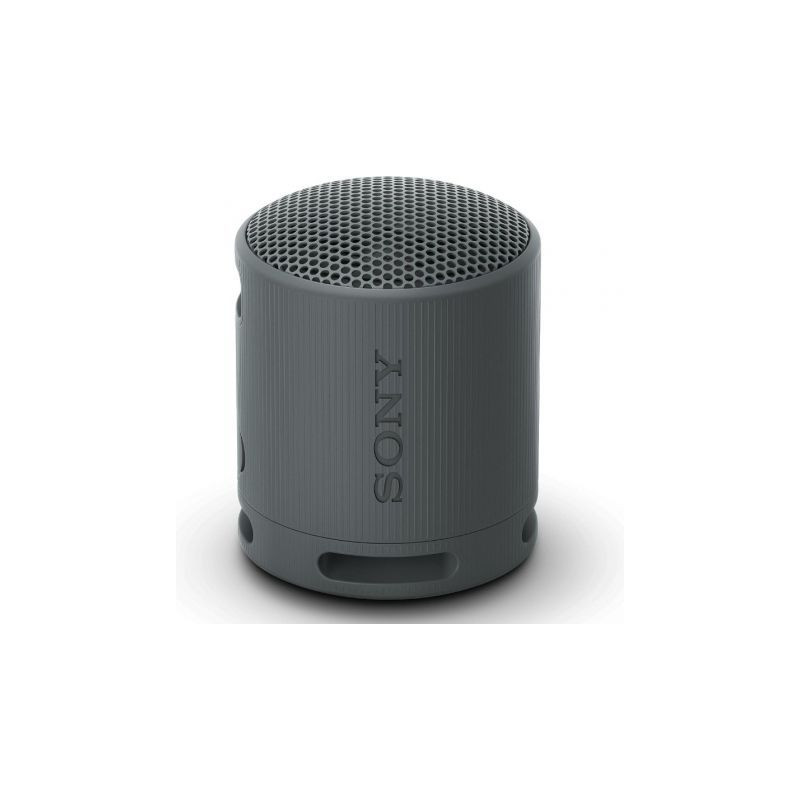 Altavoz Portable con Bluetooth Sony XB100/ 2.0/ Negro