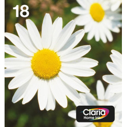 Ink/T1806 EasyMail Daisy CMYK | APLIUM