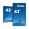 Monitor Iiyama 43" , UHD IPS Panel, Haze 1%, 800CD/M, Horiz | APLIUM