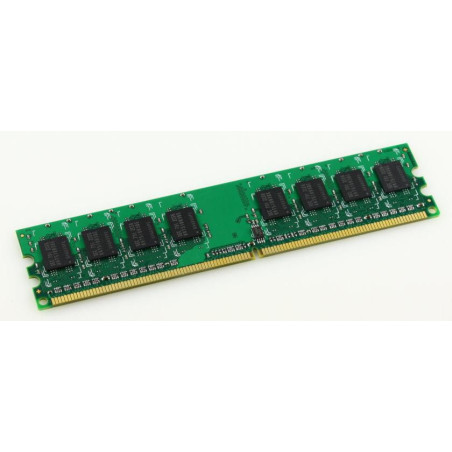 512MB Memory Module 800Mhz