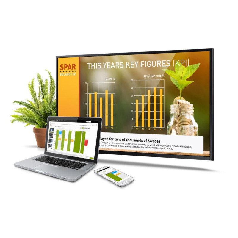 Display Manager Professional