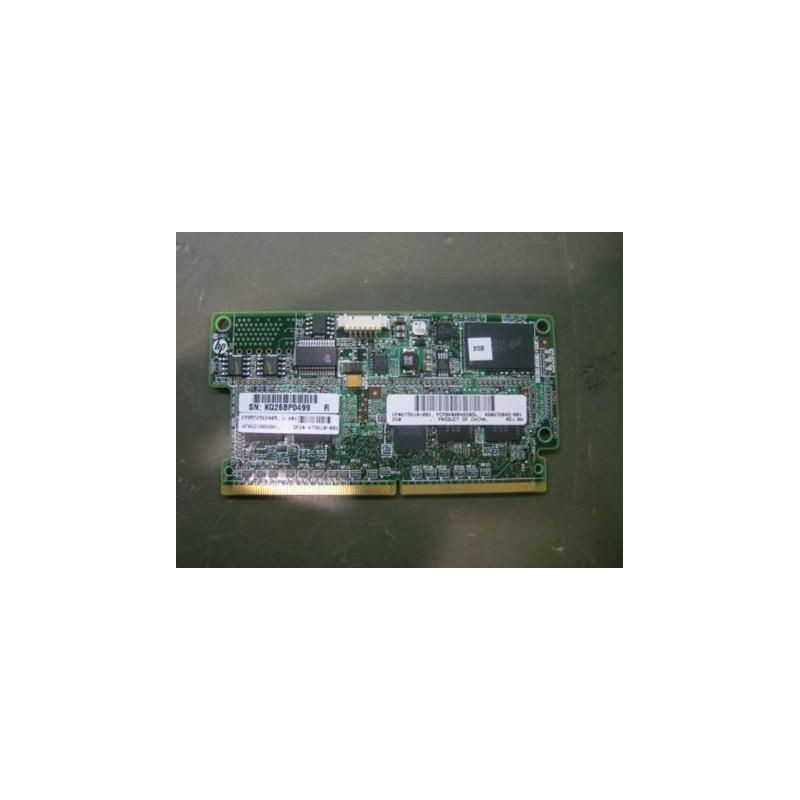 2Gb Smart Array Cache Module