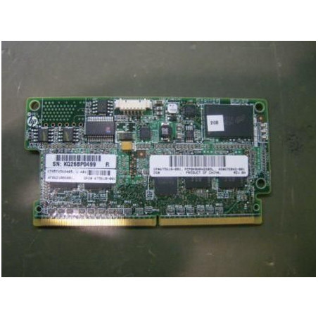 2Gb Smart Array Cache Module