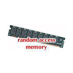 DDR1 266 Module RDIMM 2GB